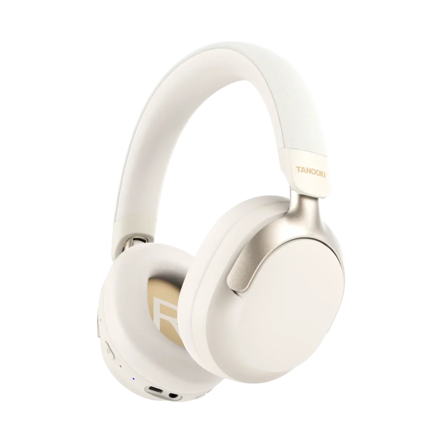 Tanooki Cozy Wireless Headset