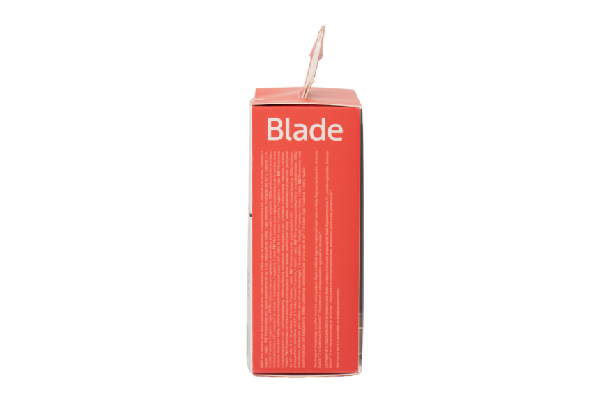Blade Switch 2 Mini Camera