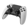 PS5 Wireless Gamepad GOAT