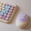 PC Tanooki Cozy Wireless Pack